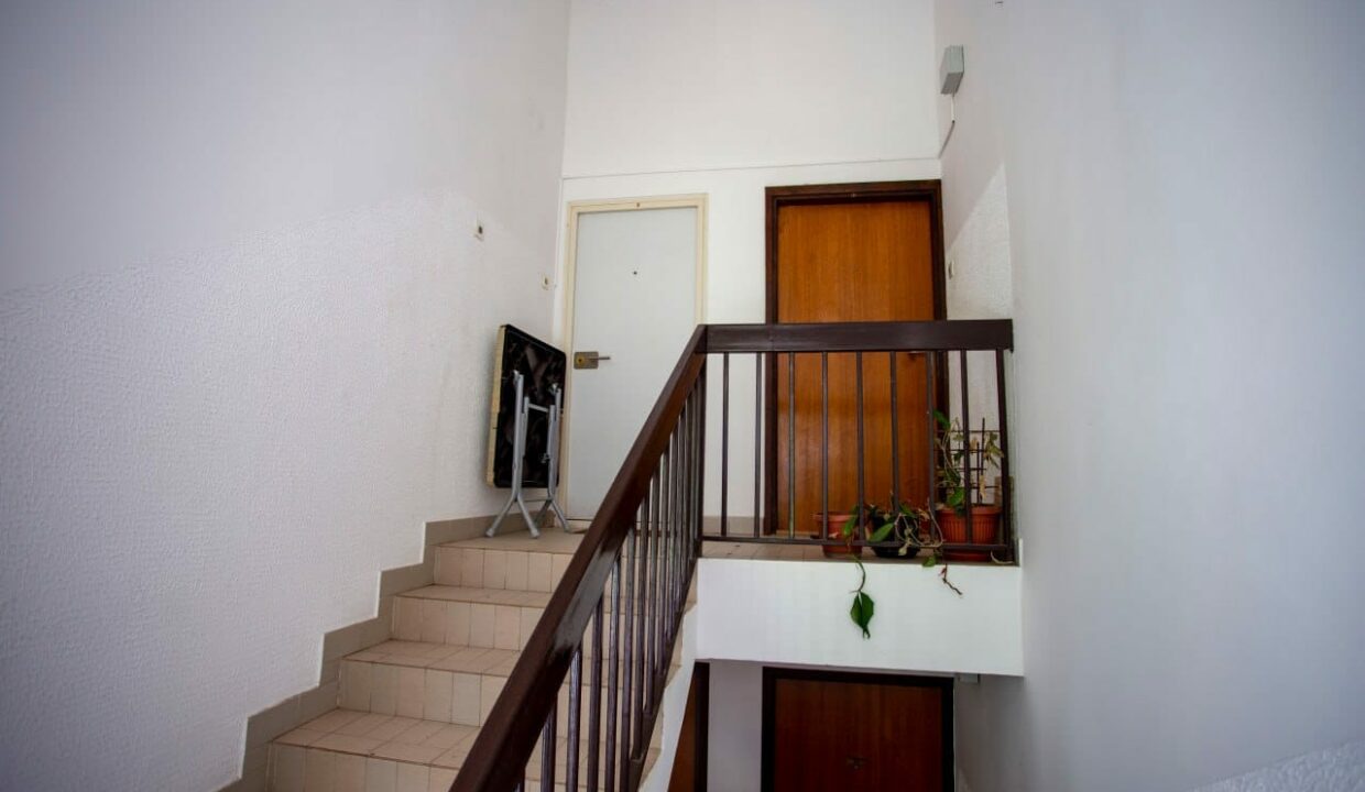 Изображение WhatsApp 2025-05-06 в 08.46.29_95f70cb3