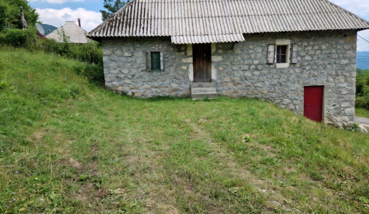 Изображение WhatsApp 2025-05-13 в 19.29.43_2a27518e