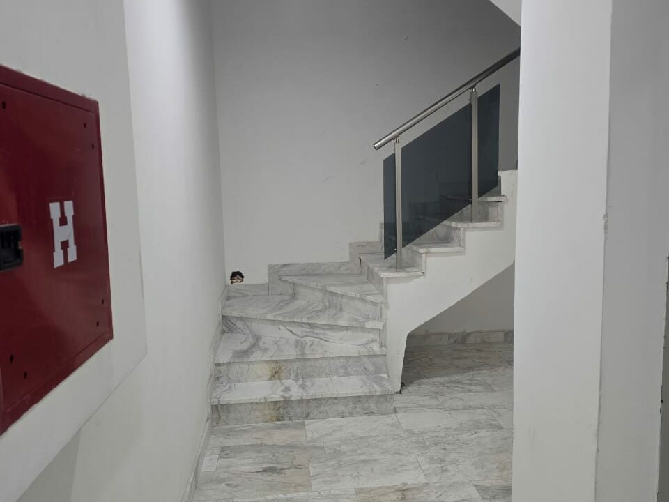 Изображение WhatsApp 2025-05-12 в 17.42.44_2ce2c898