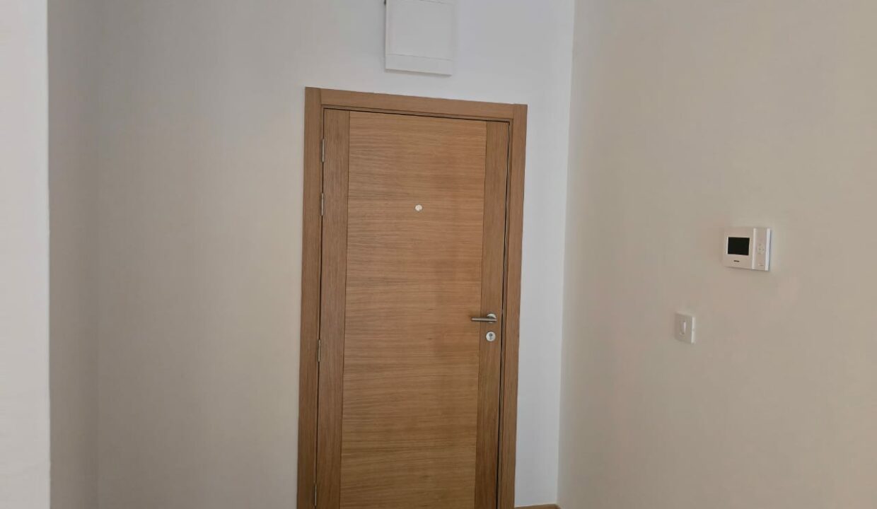 Изображение WhatsApp 2025-05-12 в 17.42.48_807c744f